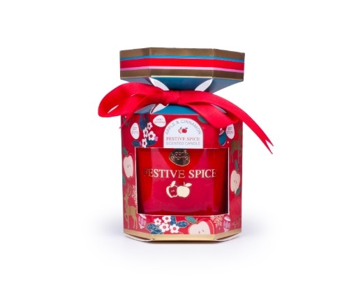 FESTIVE SPICE CANDLE 120G